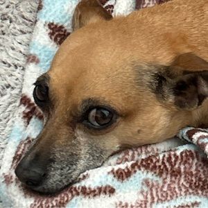 Meet your Posher, Cain